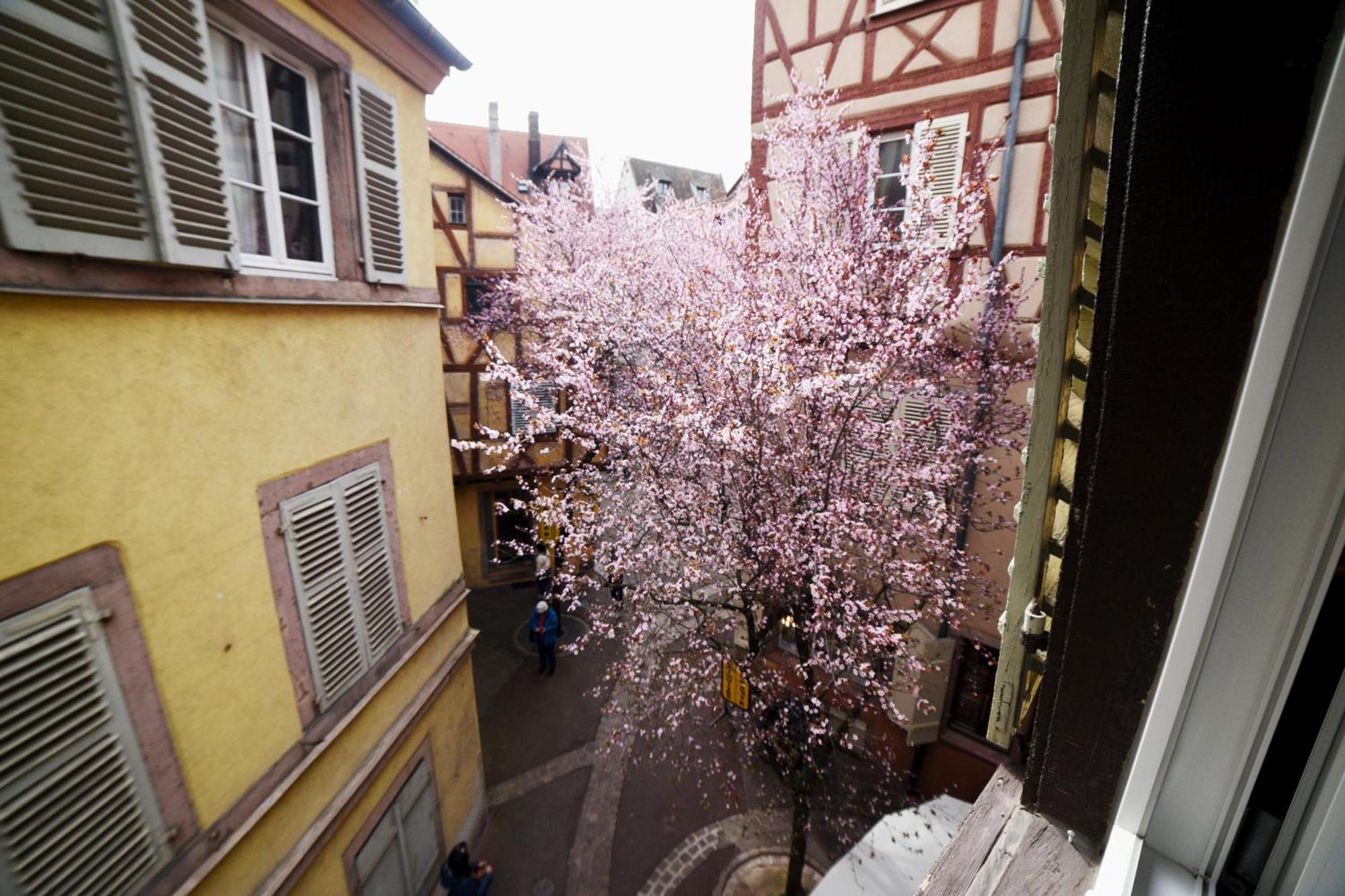 Gite Bim Maidala コルマール エクステリア 写真